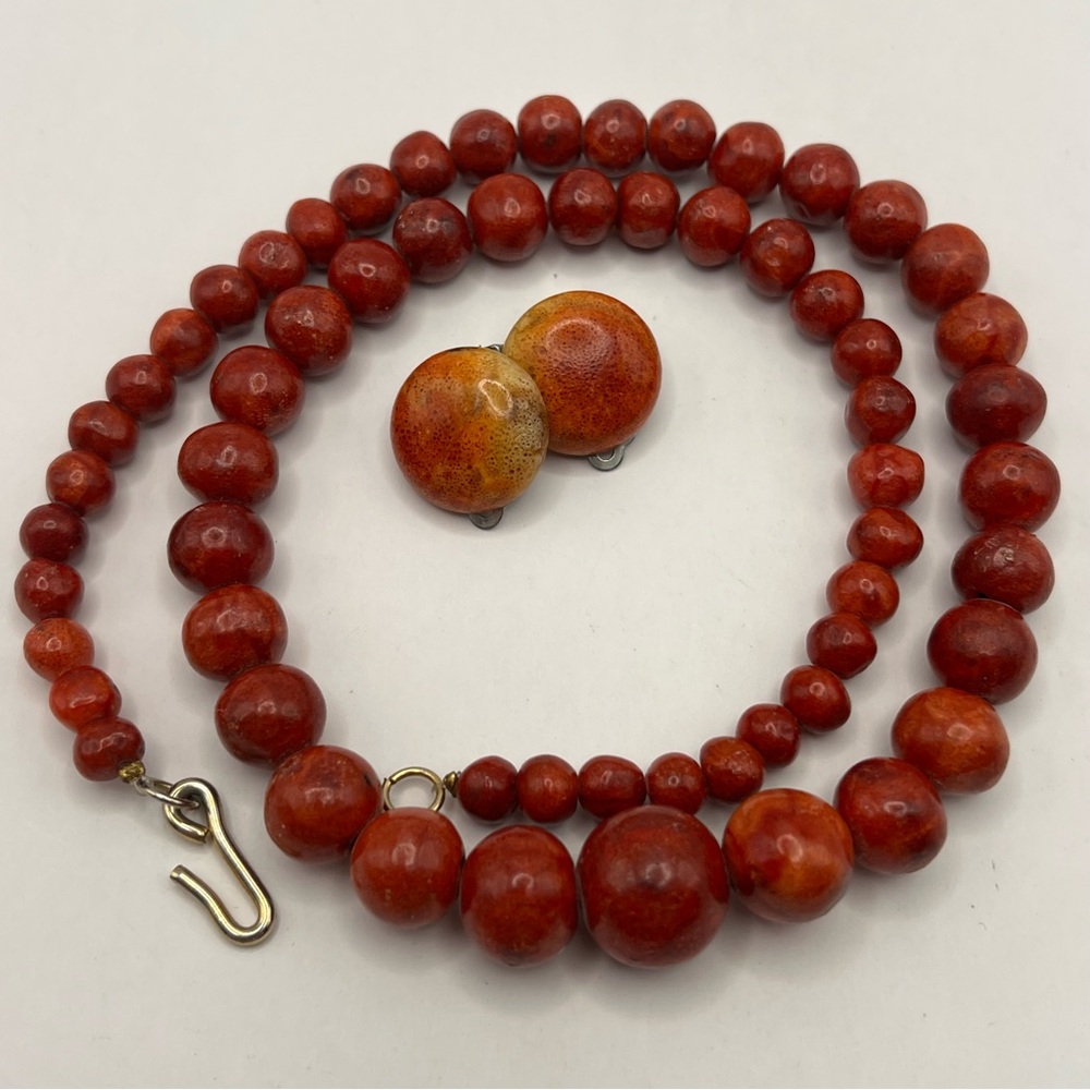 Spectacular Vintage Sponge Coral Necklace & Apple Sponge Coral Earring Set